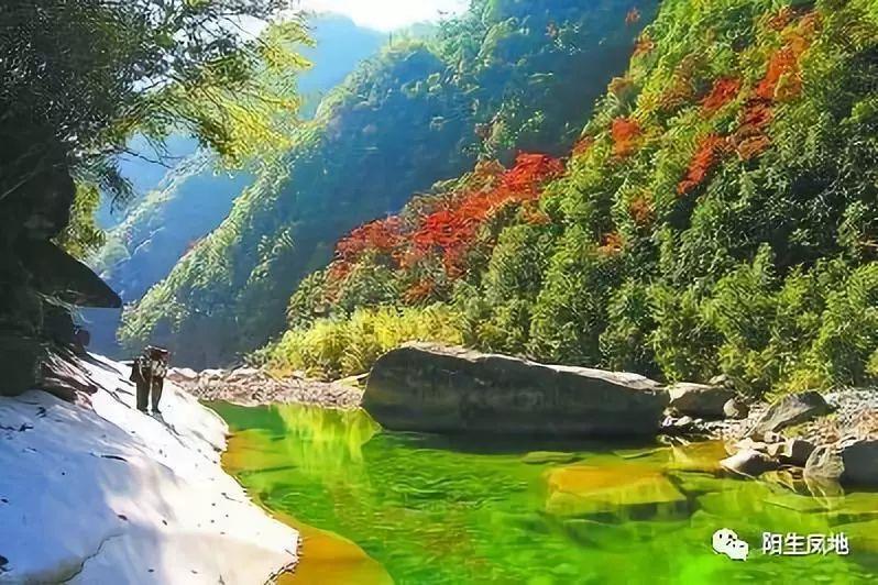 探索天涯,发现新世界——海鲜汤怎么做问答平台